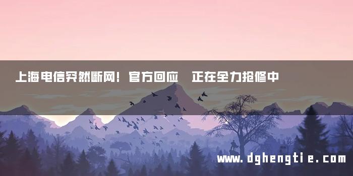 上海电信突然断网!官方回应 正在全力抢修中
